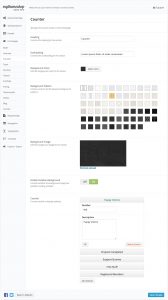 Onepage Counter Settings
